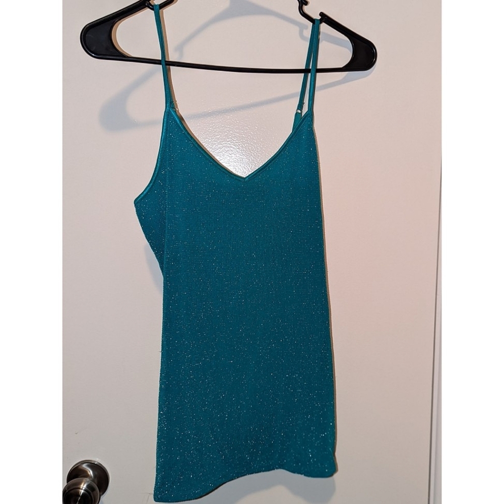 Express Sparkly Blue Top